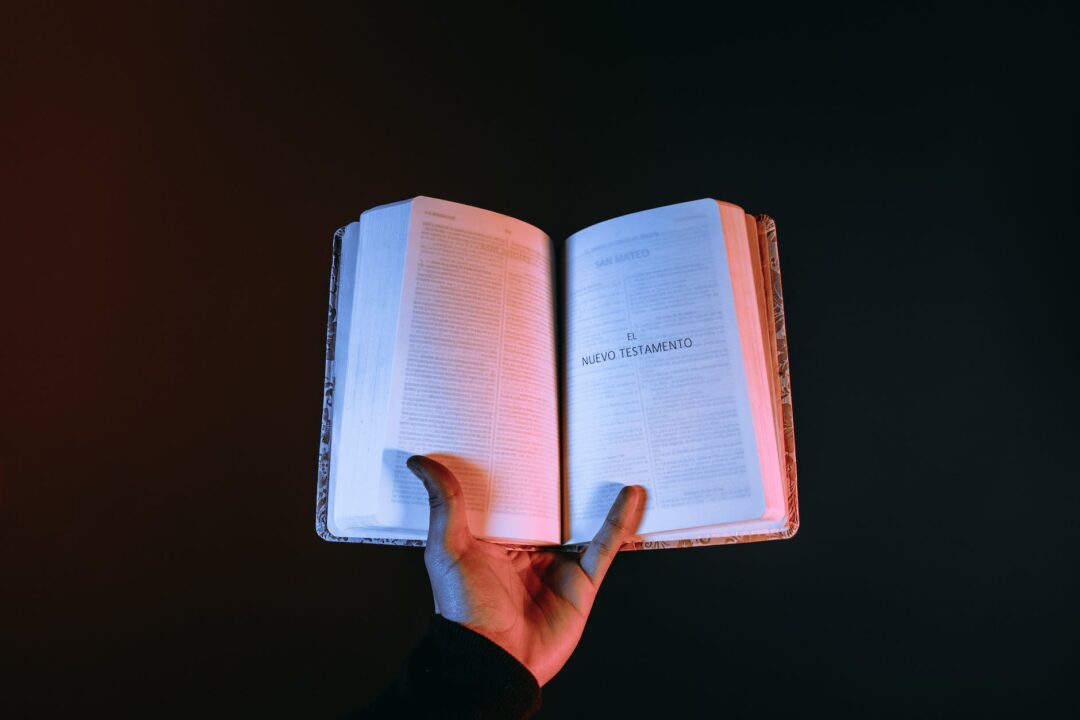 person holding a bible