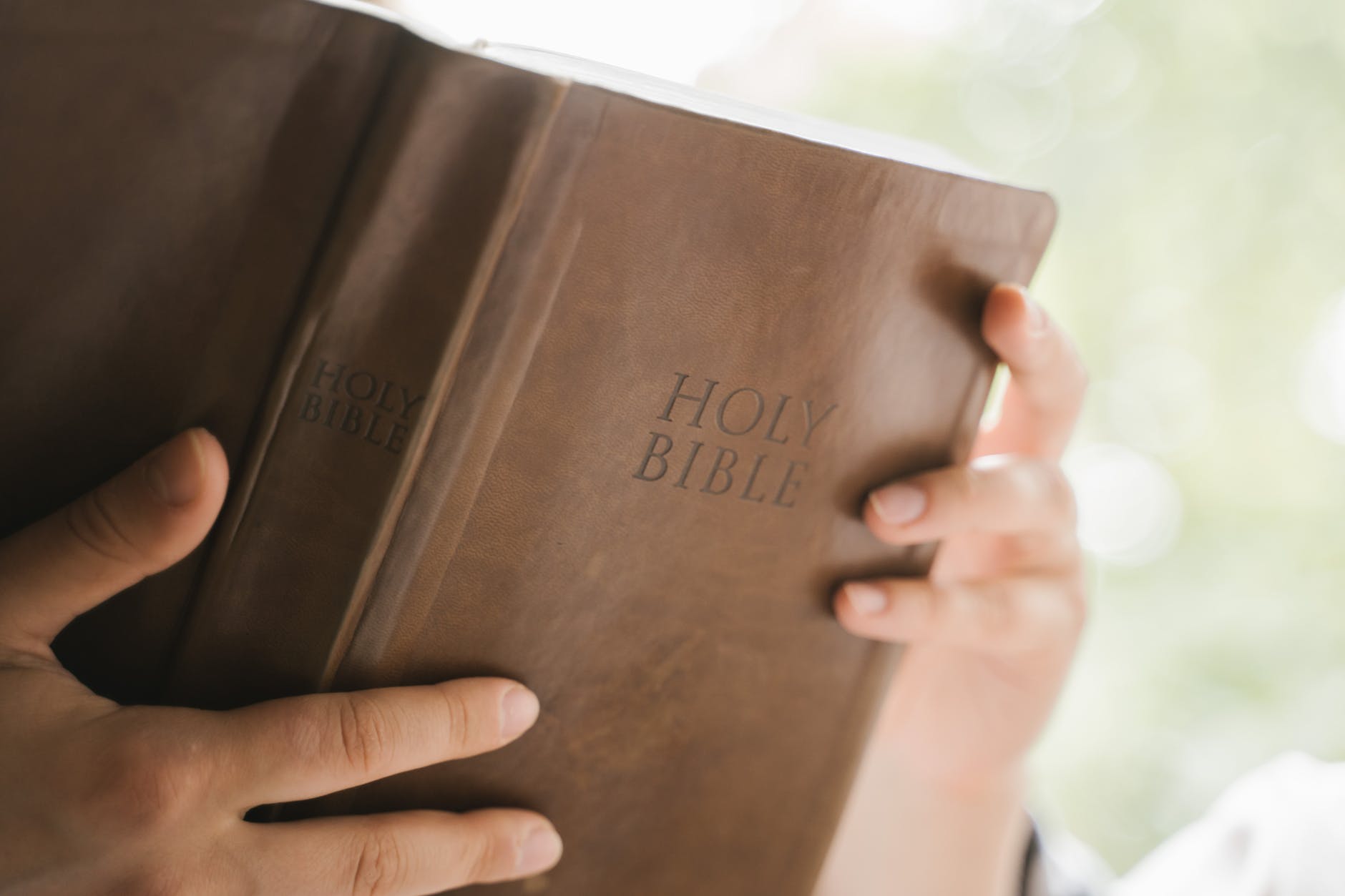 person holding brown holy bible